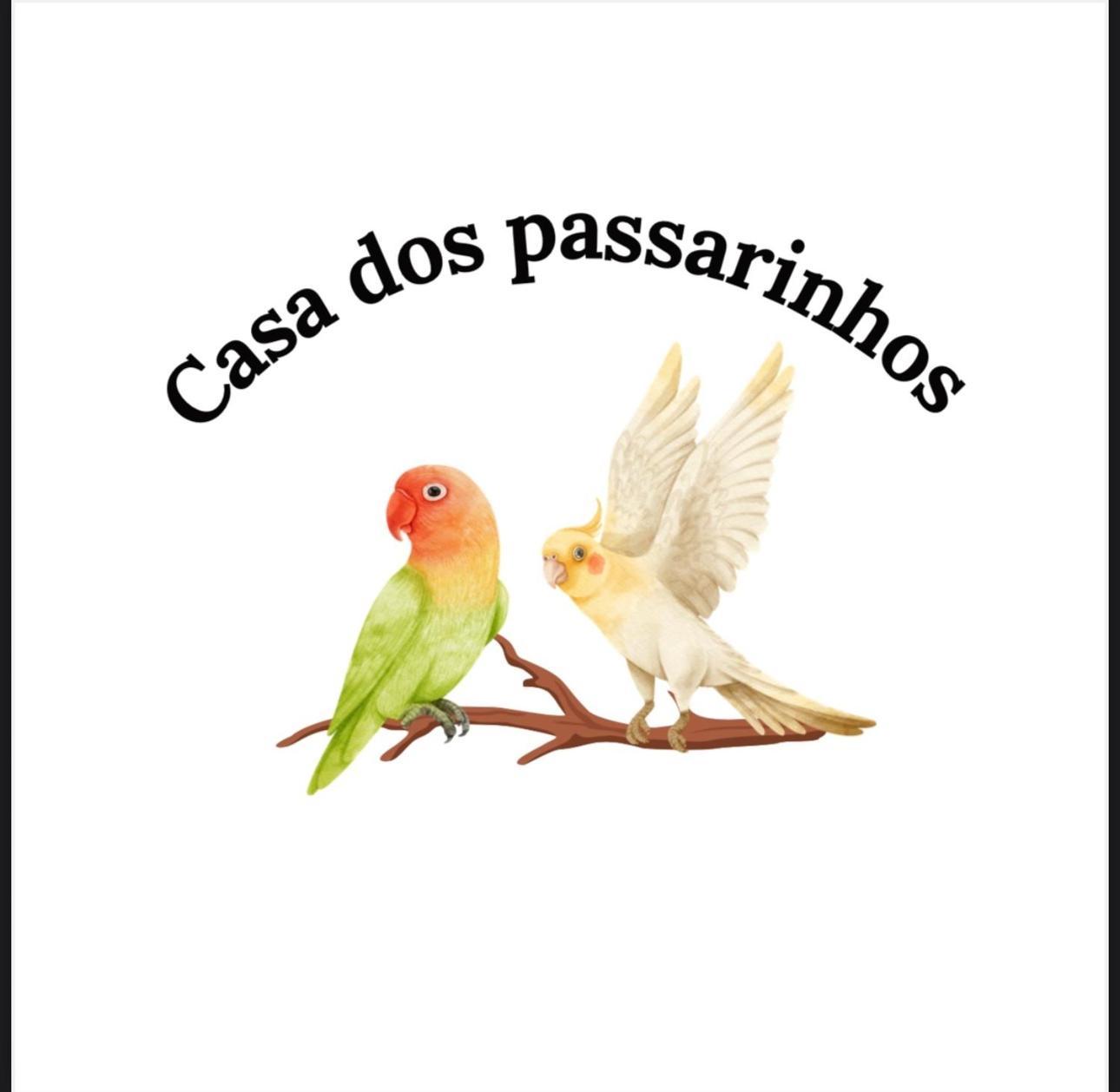 Casa Dos Passarinho'S , Lagos Eksteriør bilde